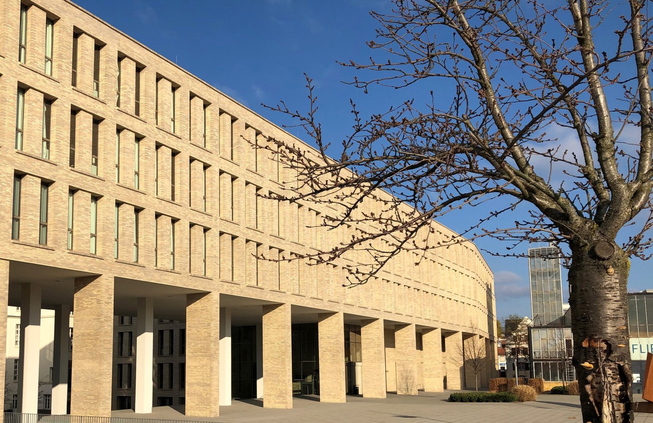 Übersicht Studium und Beruf – Institut für Sportwissenschaft – TU Darmstadt